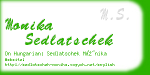 monika sedlatschek business card